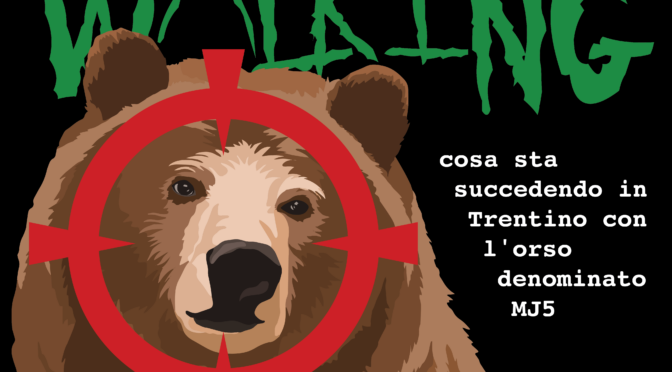 Dead Bear Walking – Cosa Sta succedendo in Trentino con l’orso denominato MJ5