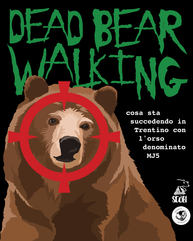 dead bear walking - MJ5 trentino
